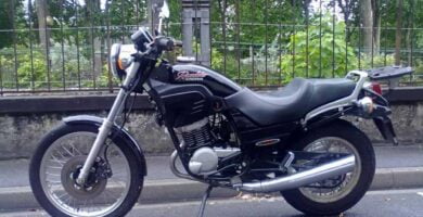 Manual Moto Cagiva Roadster 521 Reparacion y Servicio