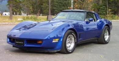 Corvette1981