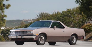 Elcamino1981