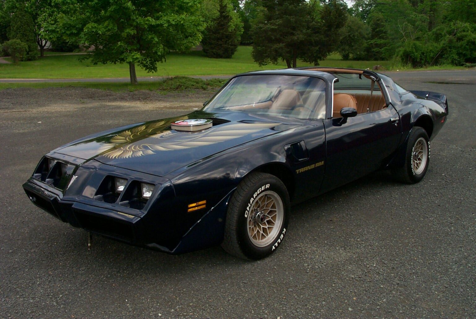 Firebird1981