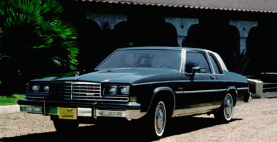 Lesabre1981