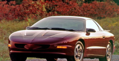 Firebird1993