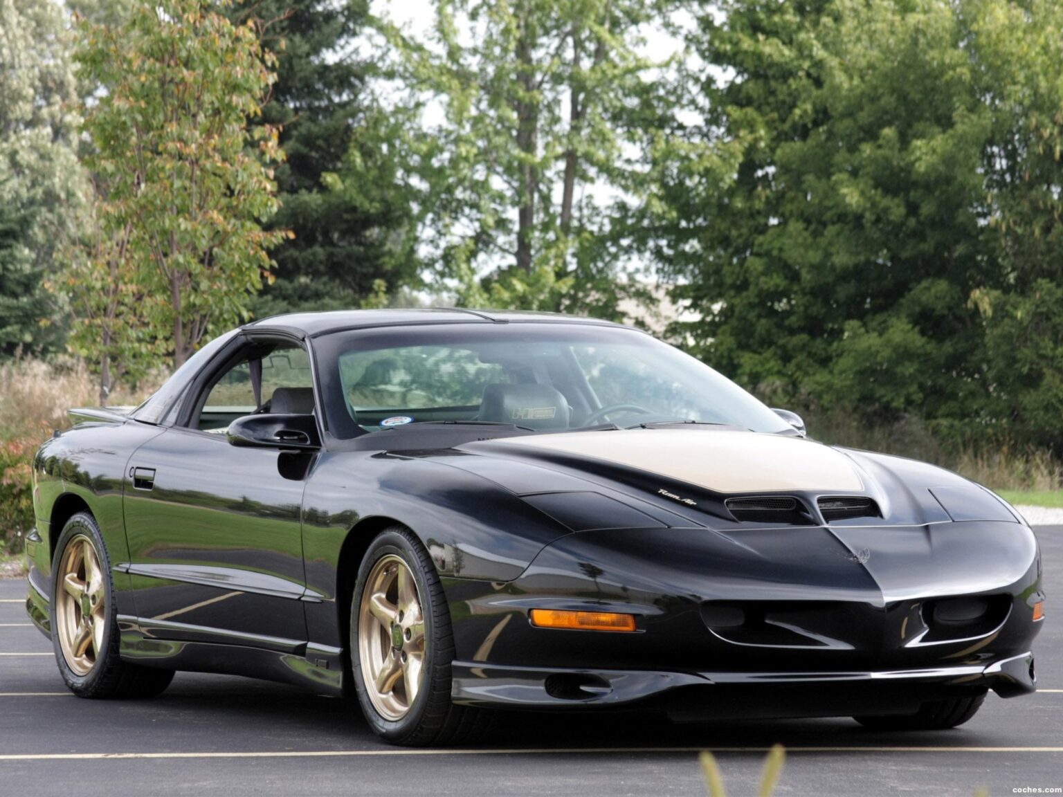 Firebird1997