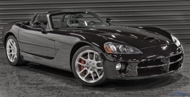 Viper2004