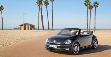 Catalogo de Partes BEETLE CABRIO 2015