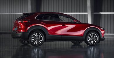 Manual de Usuario MAZDA CX 30 2020 en PDF Gratis