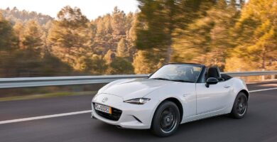 Manual de Usuario MAZDA MX 5 2015 en PDF Gratis