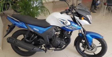 Manual de Moto Yamaha 1SY4 2016 DESCARGAR GRATIS