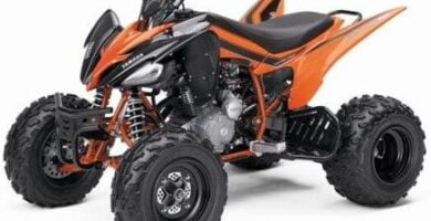 Manual de Moto Yamaha 4D37 2008 DESCARGAR GRATIS