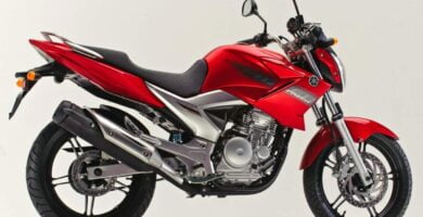 Manual de Moto Yamaha 56C1 2010 DESCARGAR GRATIS