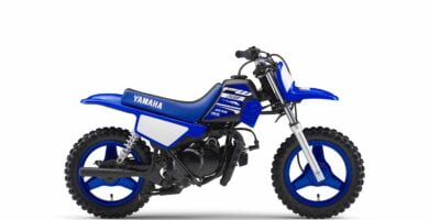 Manual de Moto Yamaha 5PGG 2008 DESCARGAR GRATIS