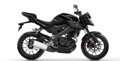 Manual en Español Yamaha MT125 2017 de Usuario PDF GRATIS