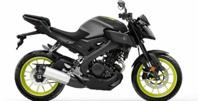 Manual en Español Yamaha MT125 2018 de Usuario PDF GRATIS