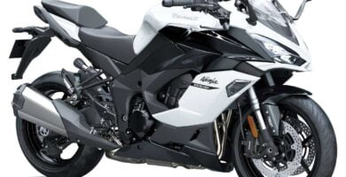 Manual en Español Kawasaki NINJA 1000SX 2020 de Usuario PDF GRATIS