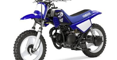 Manual en Español Yamaha PW50 2015 de Usuario PDF GRATIS