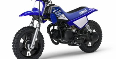 Manual en Español Yamaha PW50 2017 de Usuario PDF GRATIS