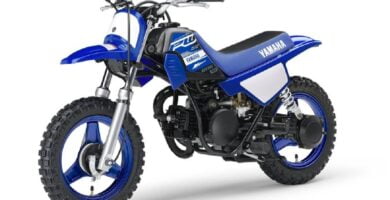 Manual en Español Yamaha PW50 2019 de Usuario PDF GRATIS