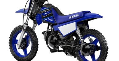 Manual en Español Yamaha PW50 2021 de Usuario PDF GRATIS
