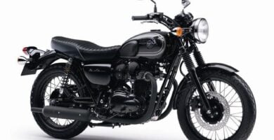 Manual en Español Kawasaki W800 2015 de Usuario PDF GRATIS