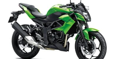 Manual en Español Kawasaki Z250 SL 2014 de Usuario PDF GRATIS