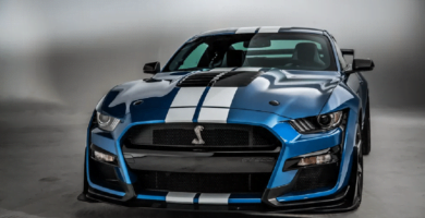 Manual en Español FORD SHELBY 2020 de Usuario PDF GRATIS