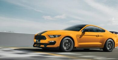 Manual en Español FORD SHELBY 2019 de Usuario PDF GRATIS