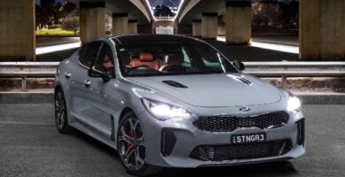 Manual KIA Stinger 2018 de Usuario