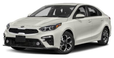 Manual KIA Forte 2019 de Usuario