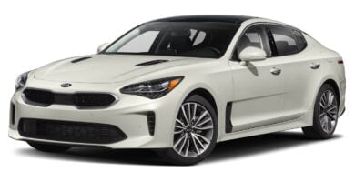 Manual KIA Stinger 2019 de Usuario