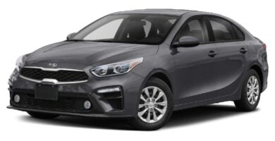 Manual KIA Forte 2020 de Usuario