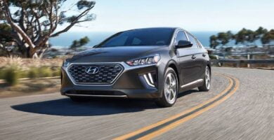 Manual HYUNDAI Ioniq PHEV 2020 de Usuario