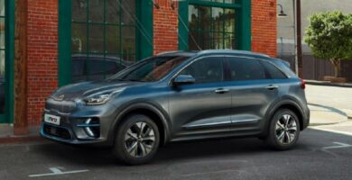 Manual KIA Niroev 2020 de Usuario