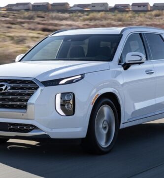 Manual HYUNDAI Palisade 2020 de Usuario