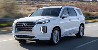 Manual HYUNDAI Palisade 2020 de Usuario