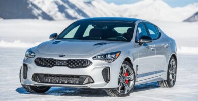 Manual KIA Stinger 2020 de Usuario