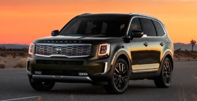 Manual KIA Telluride 2020 de Usuario