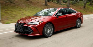 Manual Toyota Avalon 2019 de Usuario