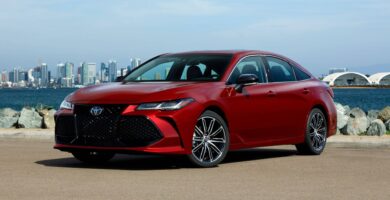 Manual Toyota Avalon Hibrido 2019 de Usuario