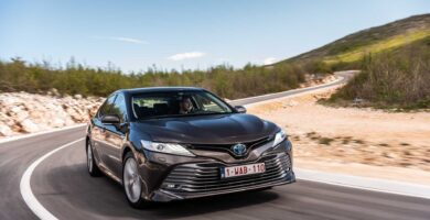 Manual Toyota Camry 2019 de Usuario