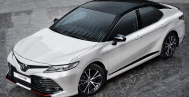 Manual Toyota Camry 2020 de Usuario