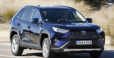 Manual Toyota RAV4 2019 de Usuario