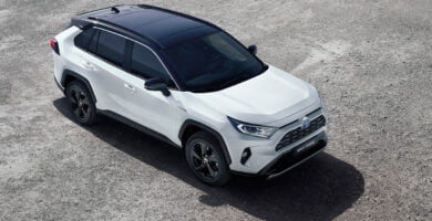 Manual Toyota RAV4 Hybrid 2019 de Usuario