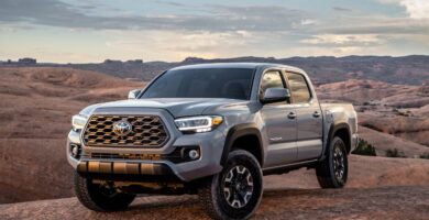 Manual Toyota Tacoma 2020 de Usuario