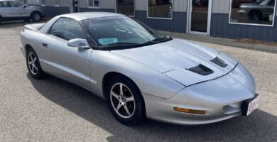 Manual PONTIAC FIREBIRD 1994 de Usuario