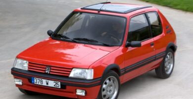 Manual PEUGEOT 205 1995 de usuario PDF gratis