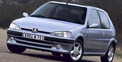 Manual PEUGEOT 106 2001 de usuario PDF gratis