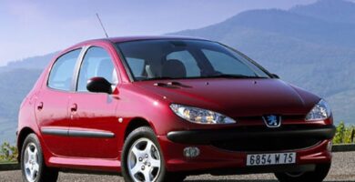 Manual PEUGEOT 206 2002 de usuario PDF gratis