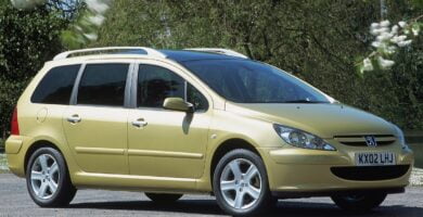 Manual PEUGEOT 307 SW 2002 de usuario PDF gratis