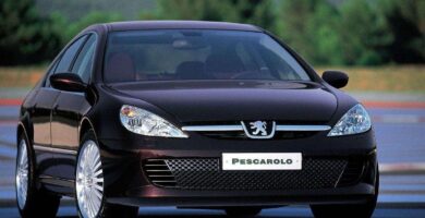 Manual PEUGEOT 607 2002 de usuario PDF gratis