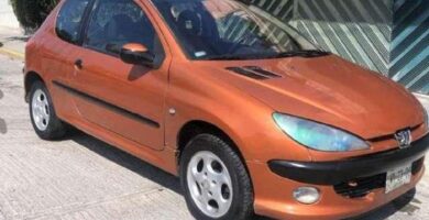 Manual PEUGEOT 206 2003 de usuario PDF gratis